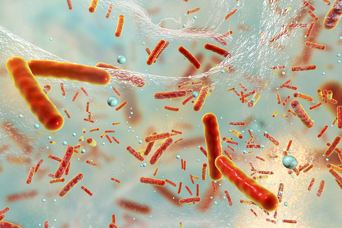 Biofilm patogene bakterier