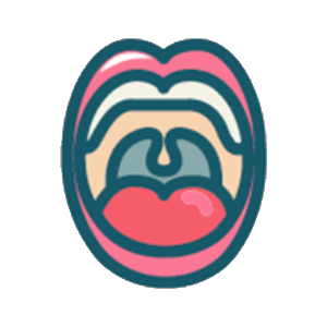 CMS Dental Oral Cavity icon